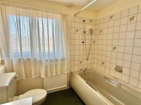 Picture No. 15