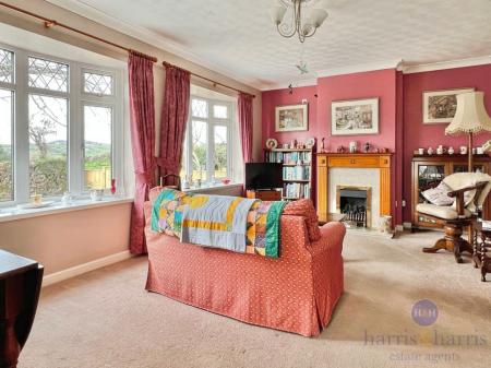 pbox-IMG.jpeg