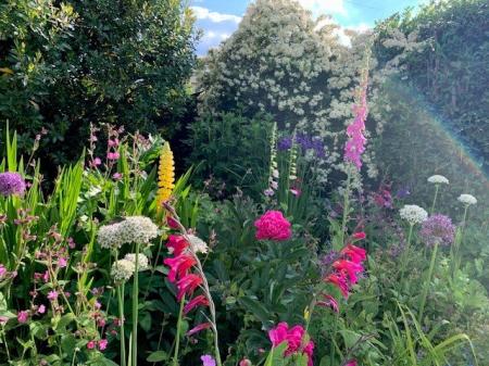 Superb Planting
