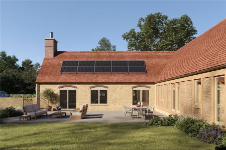 Rear Elevation