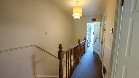 IMG_20250307_111010-2