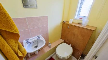 IMG_20250307_110515-2