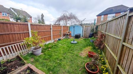 IMG_20250317_144203-2