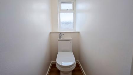 IMG_20250314_141359-2