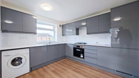 IMG_20250314_141239-2