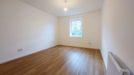 IMG_20250314_141521-2