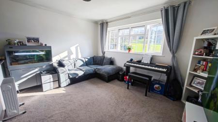 IMG_20250315_152657-2