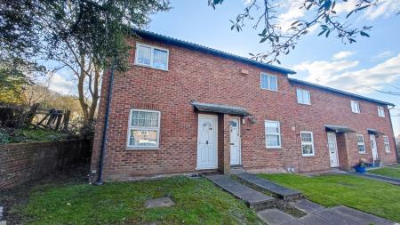 IMG_20250315_153240-2