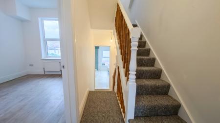 IMG_20250314_155432-2