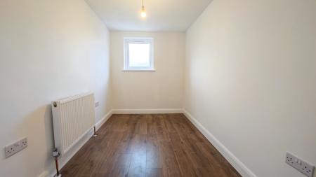 IMG_20250314_155505-2