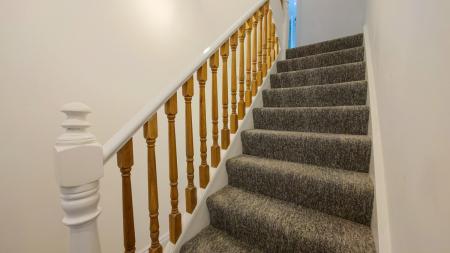 IMG_20250314_154925-2