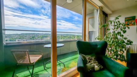 20250709_104657 - Copy