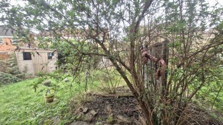 20260309_120003_resized