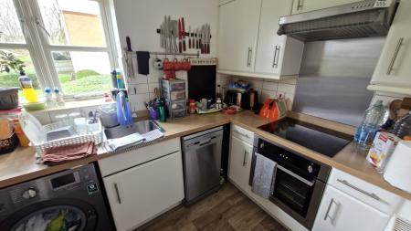 20260325_100656_resized