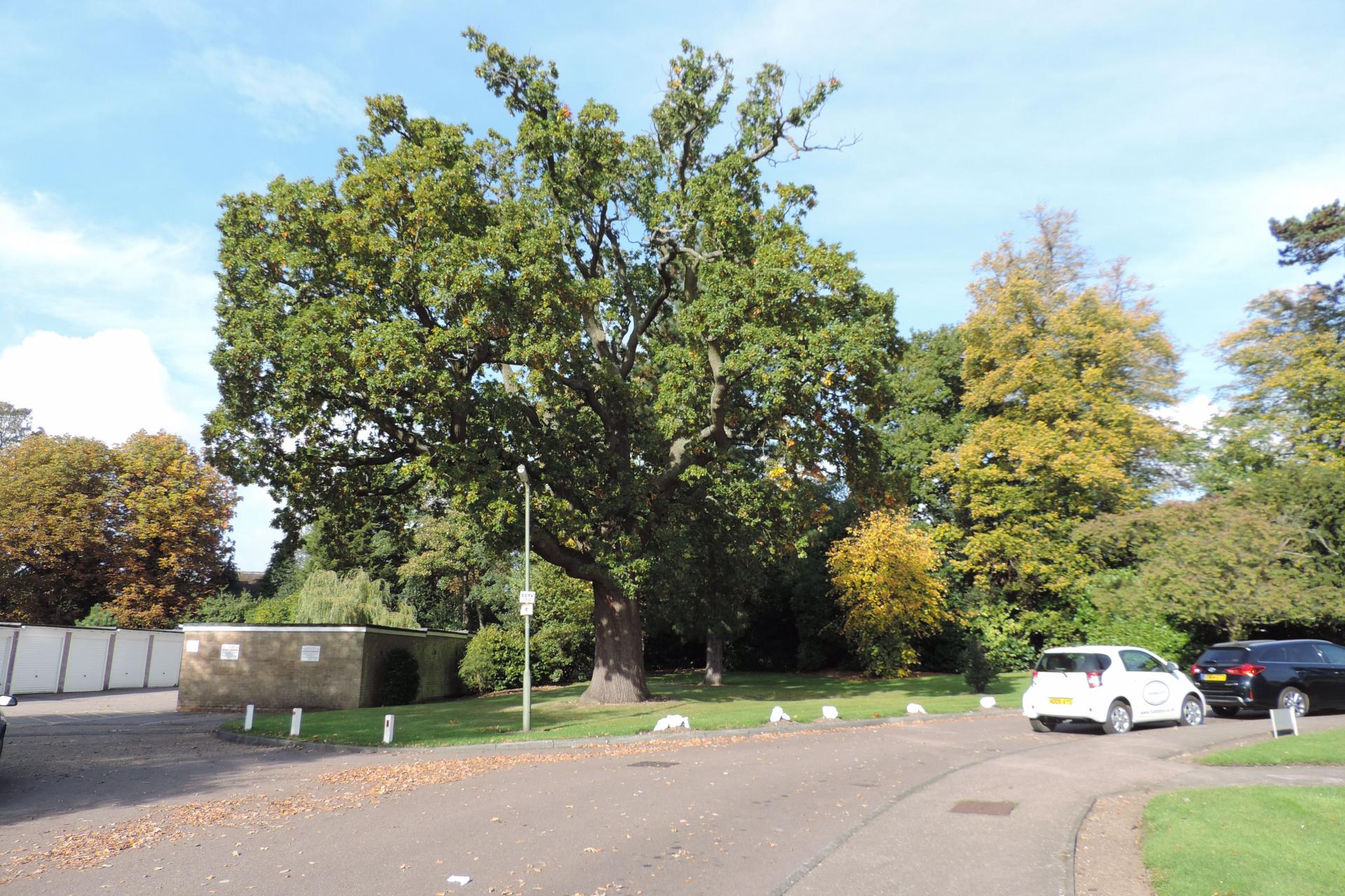 Heathfield Close, Potters Bar