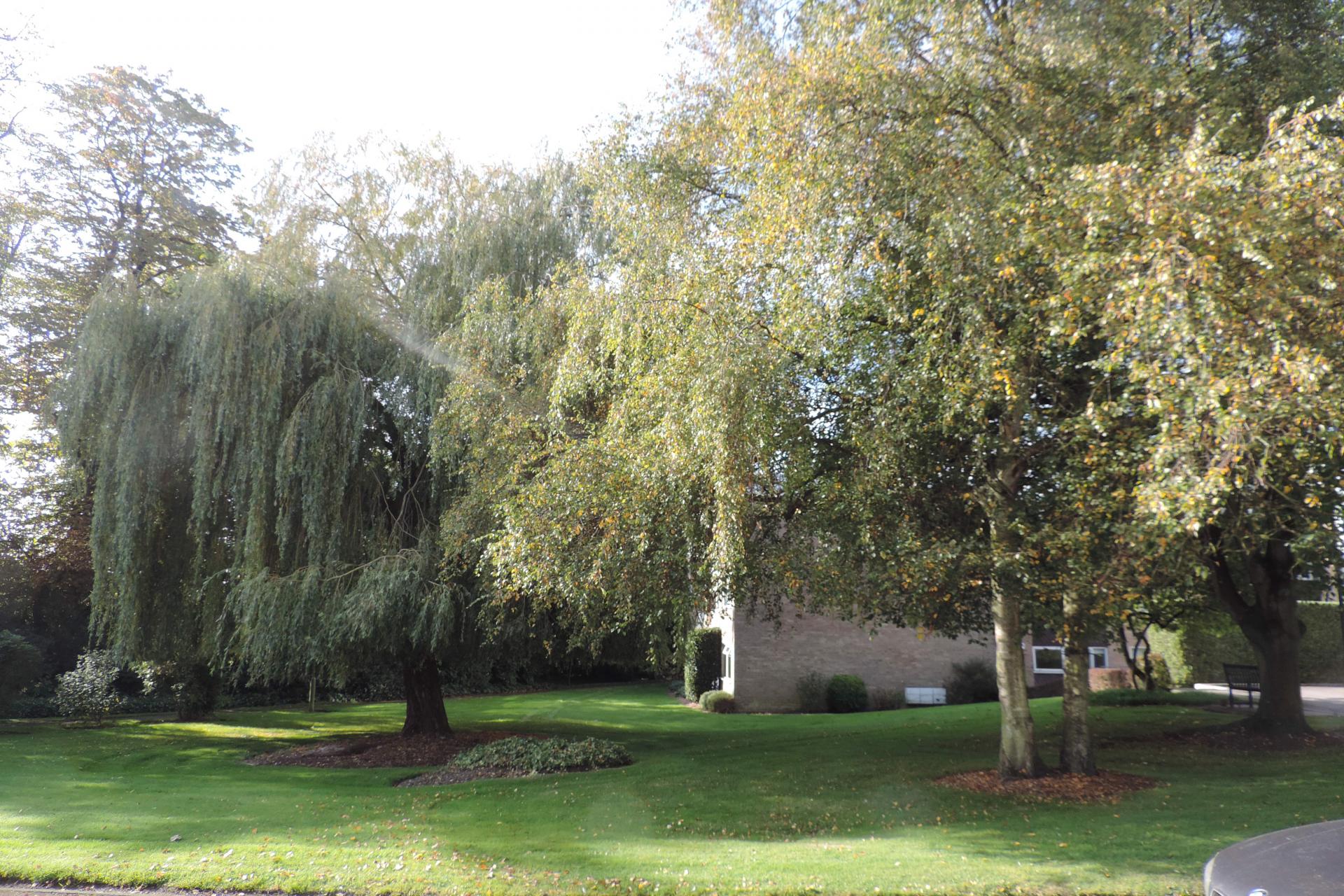 Heathfield Close, Potters Bar