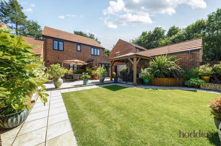 05295b41-ff46-46b...