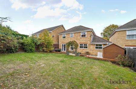 3cdf04be-a01d-481...