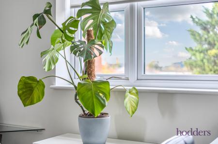 cd2119b3-8c9d-4e9...