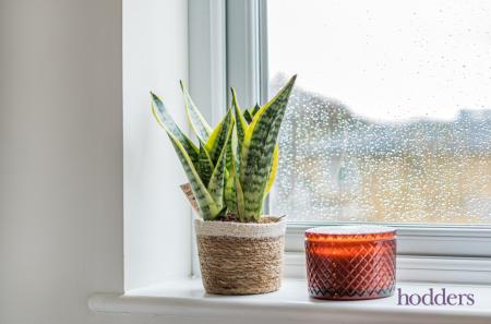 eee05732-7f53-405...