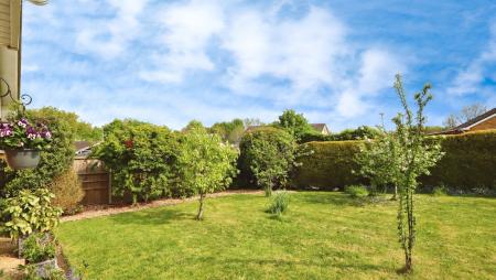 e4a85ae9-IMG_0741.jp