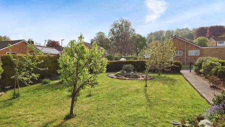 2b264a98-IMG_0751.jp