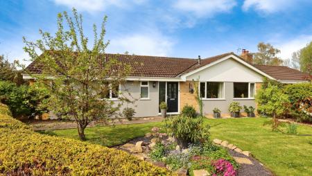 a0667763-IMG_0748.jp