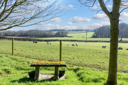 TEK HiRes 250228 010