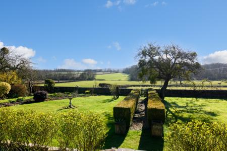 TEK HiRes 250228 016