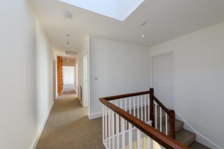 TEK HiRes 250228 073