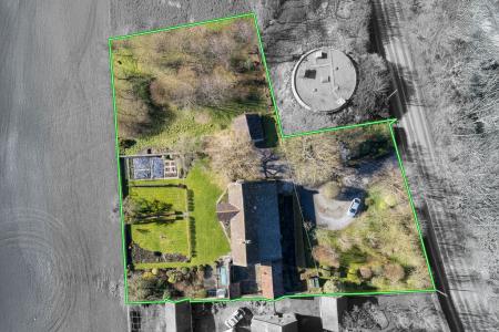 TEK HiRes 250228 035