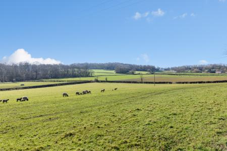 TEK HiRes 250228 012