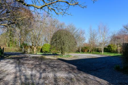 TEK HiRes 250228 003