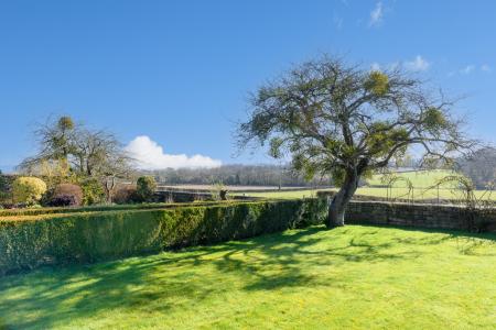 TEK HiRes 250228 026