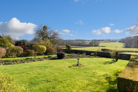 TEK HiRes 250228 017