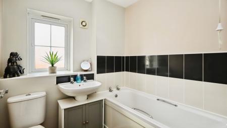 524e081d-IMG_1162.jp