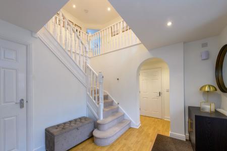 TEK HiRes 250717 002