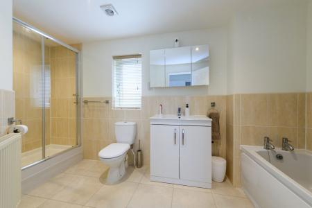 TEK HiRes 250717 020