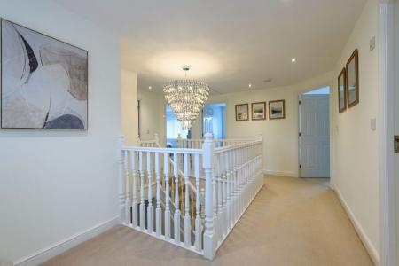 TEK HiRes 250717 023