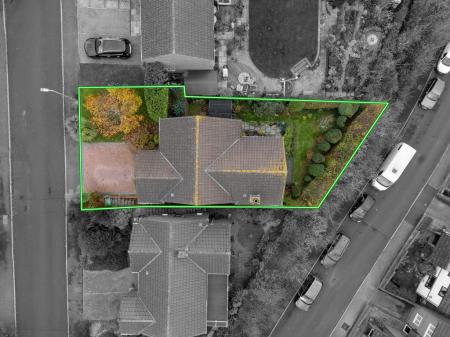 TEK HiRes 251106 001