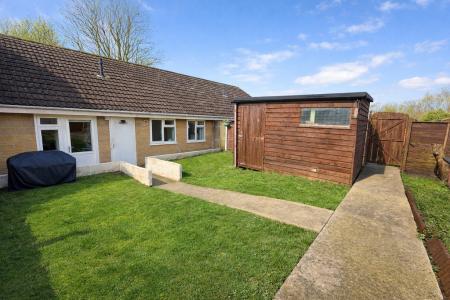 Sunny garden with ti