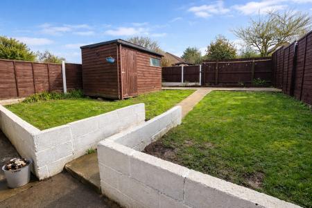 Bright backyard with