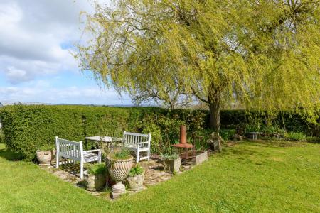 TEK HiRes 260325 070