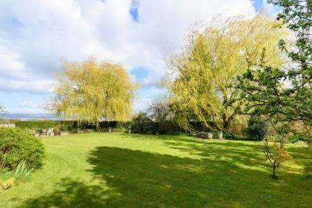 TEK HiRes 260325 010