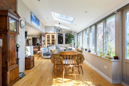 TEK HiRes 260325 057