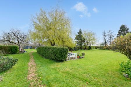 TEK HiRes 260325 054