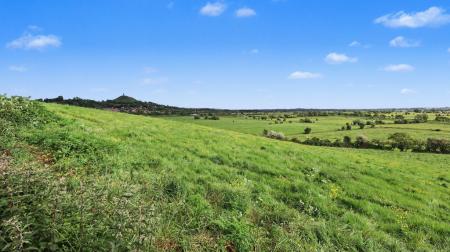 Outlook