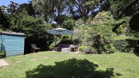 Lawn
