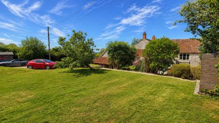 Garden view 1