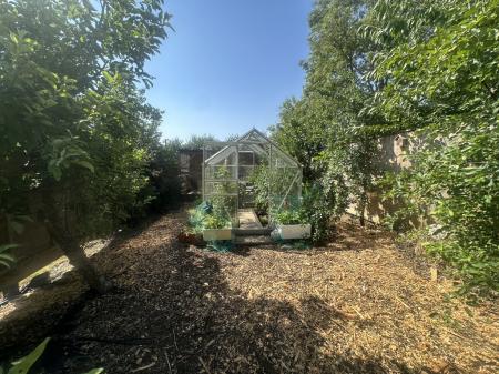 Vegetable Patch